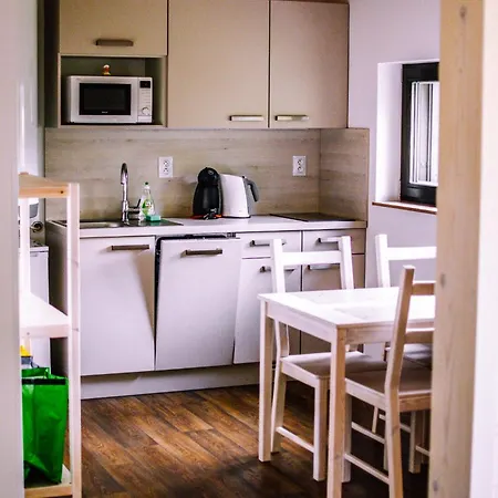 Dum Jonas Janov nad Nisou