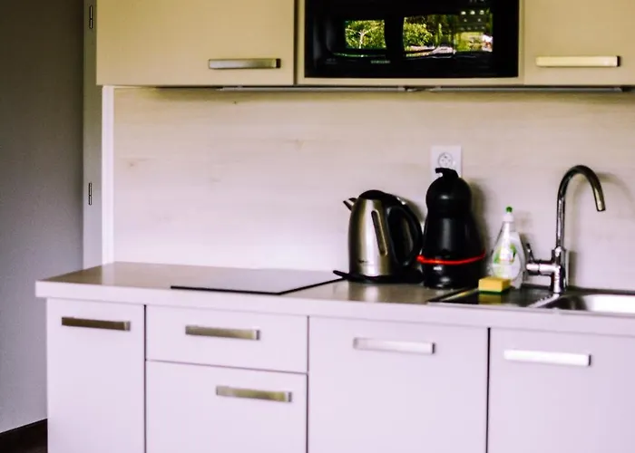 Dum Jonas Appartement *