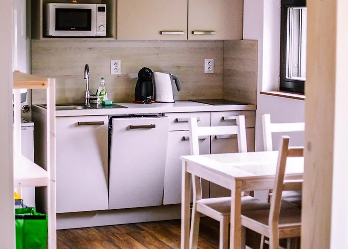 Dum Jonas Janov nad Nisou